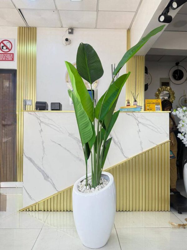 7FT BANANA PLANT FLOOR VASE 002